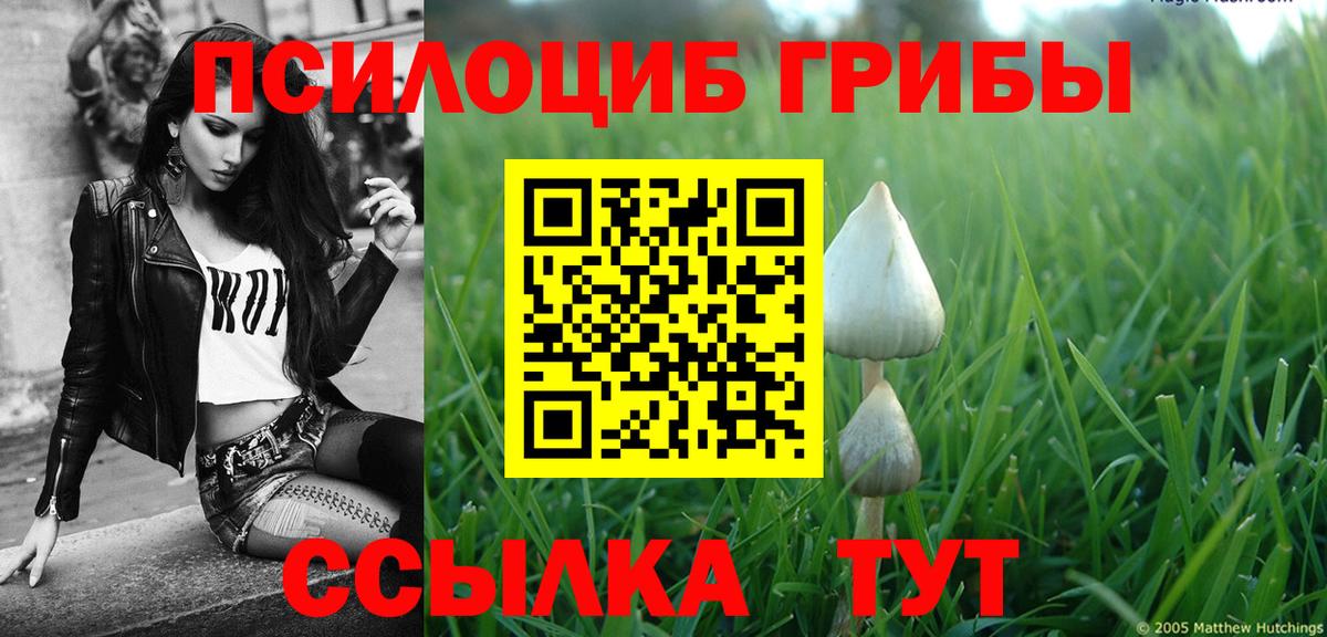 Галлюциногенные грибы Psilocybine cubensis  Вход с VPN  Краснодар 